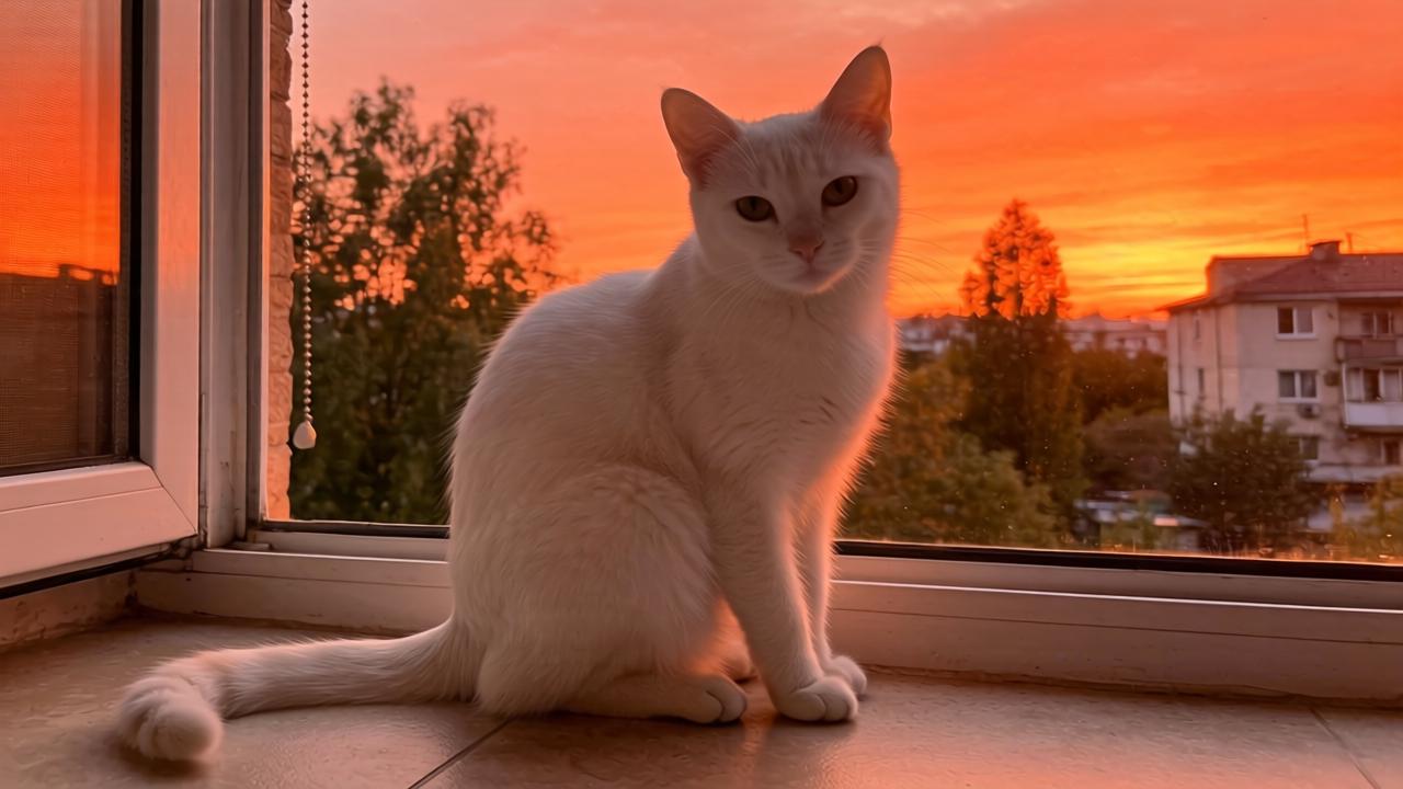 中国针织工业协会完成换届选举 谢青当选第八届理事会会长第一张图